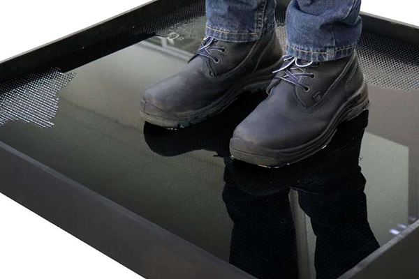 Shoe Sanitizer Mats